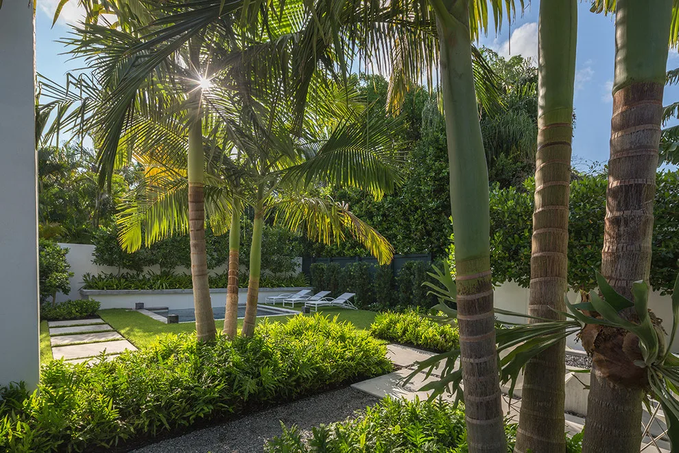 Tropical Simplicity by Craig Reynolds Landscape Architecture - Photo 8