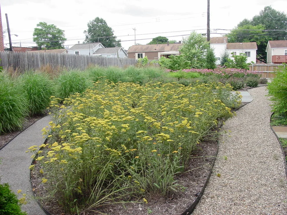 RAL Design & Horticulture - Photo 12