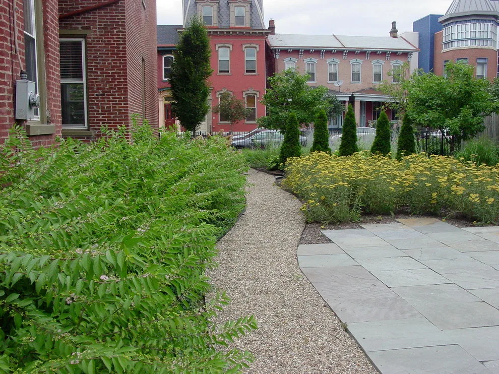 City Garden by RAL Design & Horticulture - Photo 4