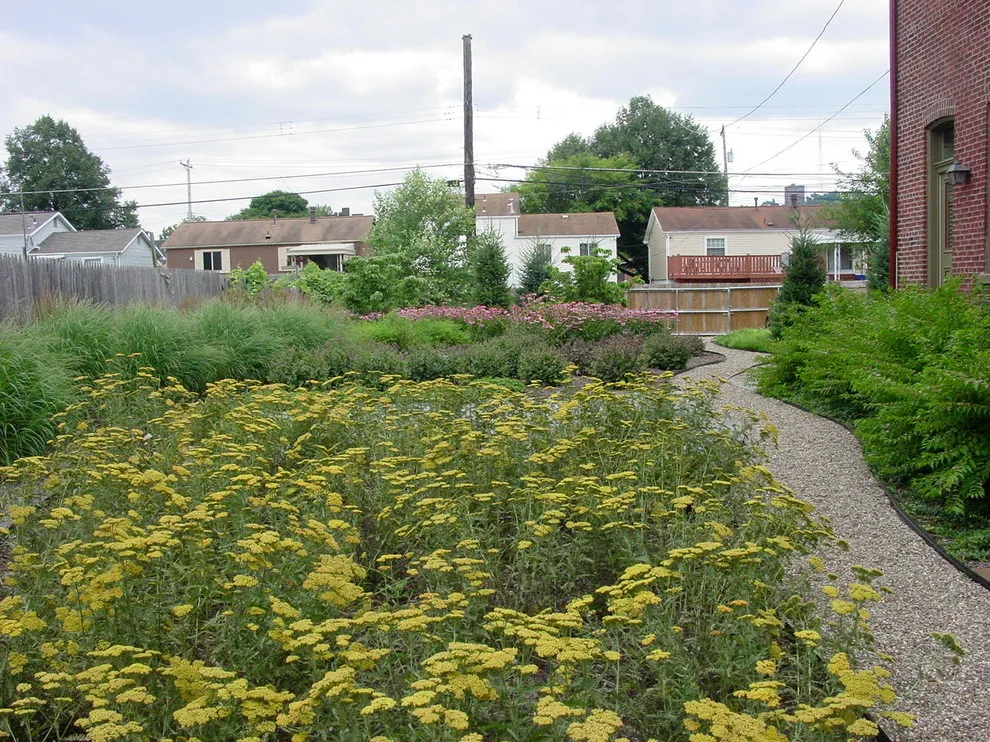 City Garden by RAL Design & Horticulture - Photo 5