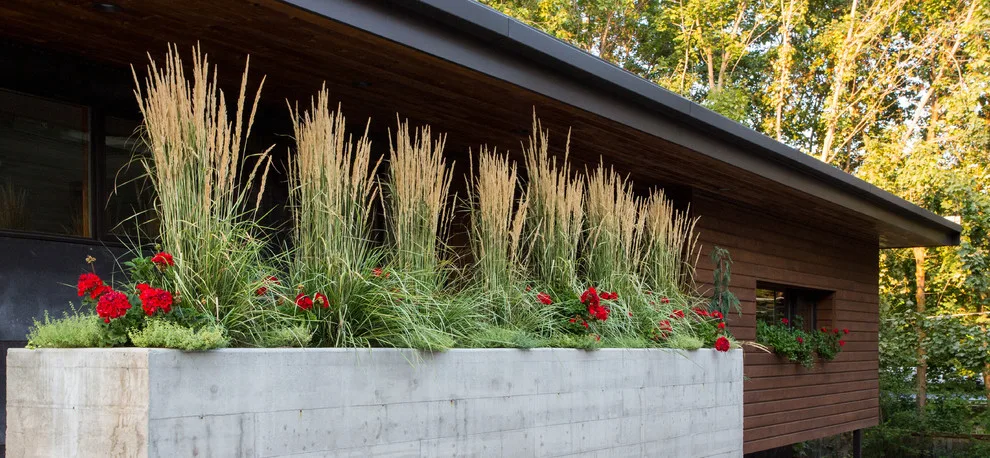 City Life on Denver Street by Coppercreek Landscaping - Photo 8