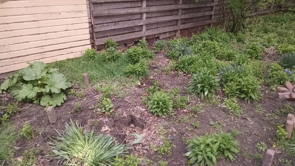 Edible Garden, Lasting Plantings & Beyond by Abundant Design, LLC - Photo 3