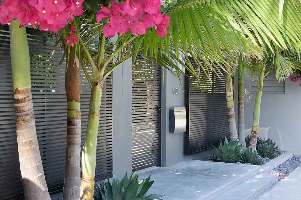 Washington Avenue by Craig Reynolds Landscape Architecture - Photo 3