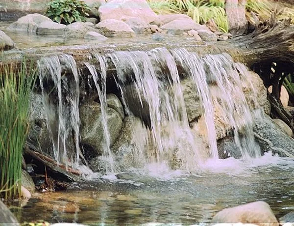 Landscape Logic - Photo 5