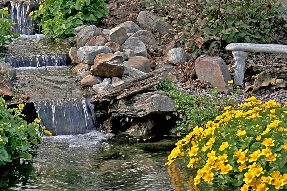 Clearwater Landscapes, Inc. - Photo 6