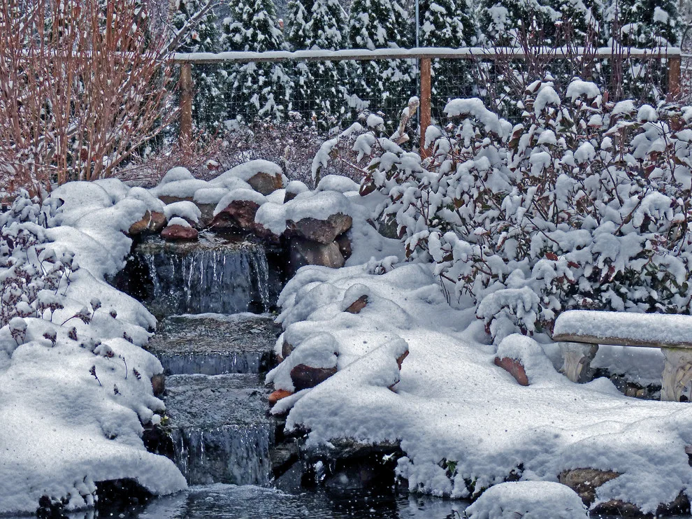 Clearwater Landscapes, Inc. - Photo 4