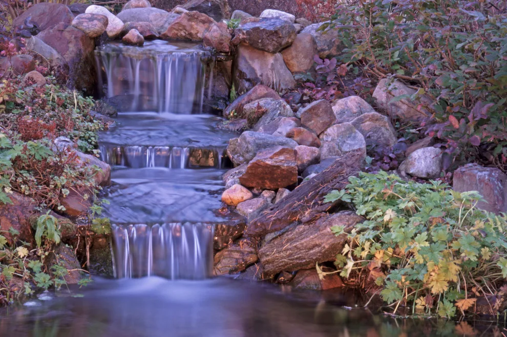 Clearwater Landscapes, Inc. - Photo 5