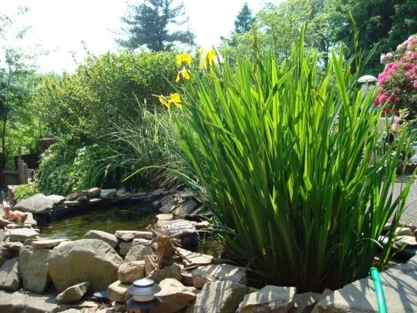 Cascade by Paoke Stoneworks - Photo 22