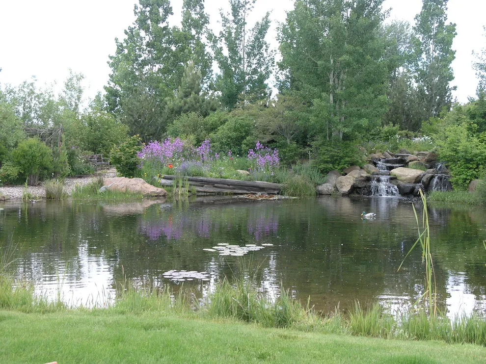 Water Elements by Heart Springs Landscape Design, LLC - Photo 5