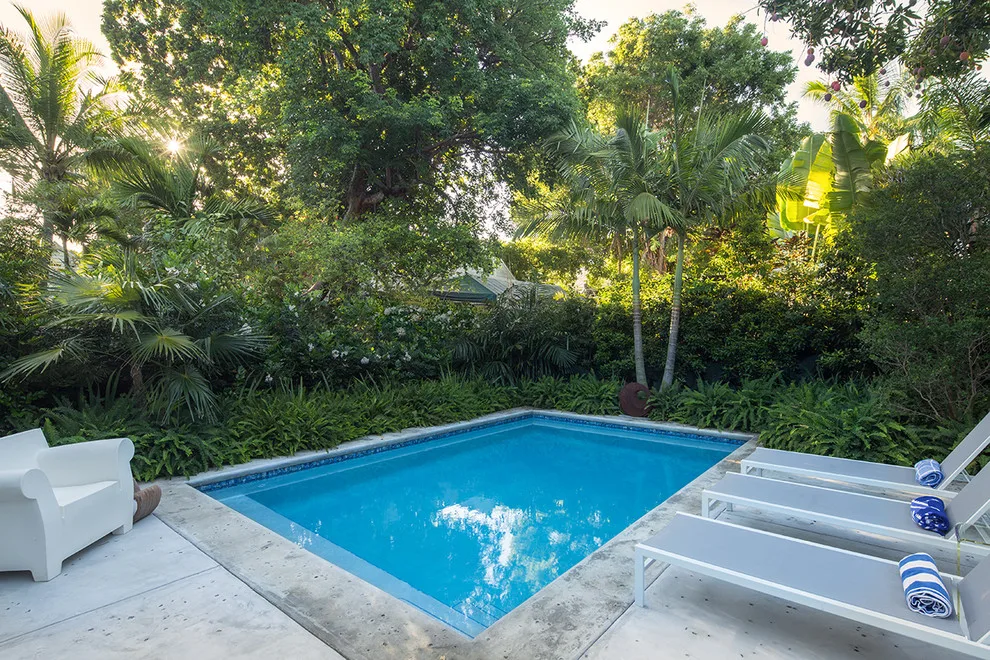Watson Avenue by Craig Reynolds Landscape Architecture - Photo 2