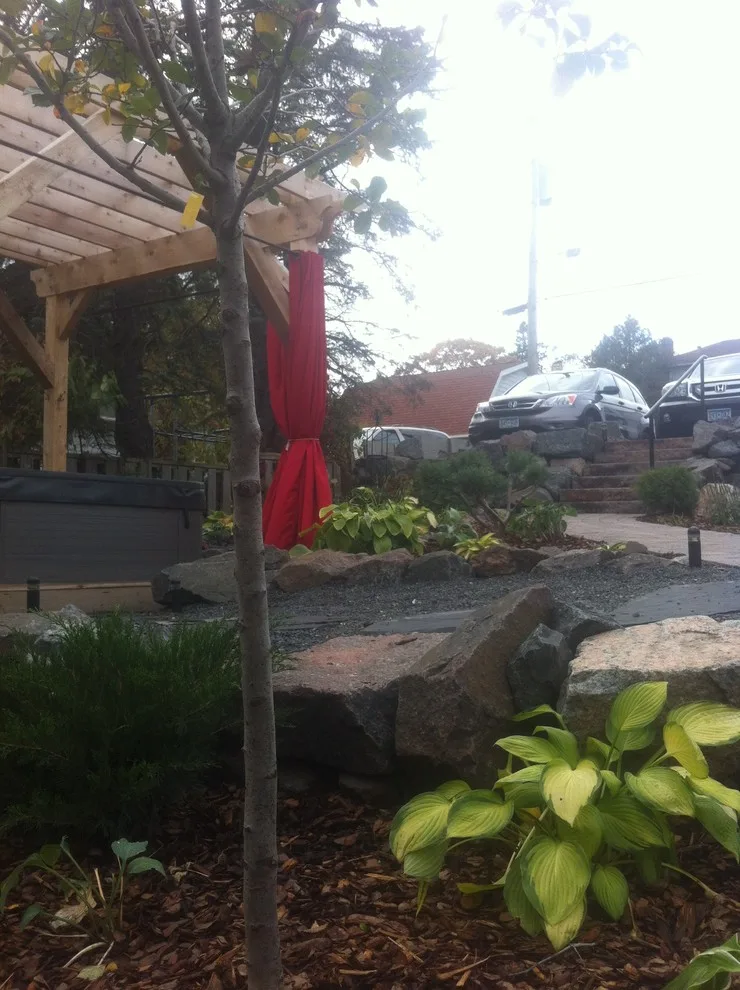 Weintraub Project by Bella Terra Landscape Design - Photo 4