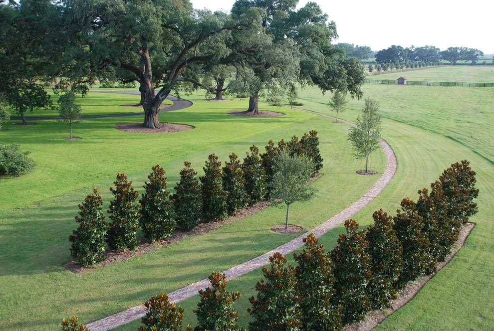 Wellswood Estate by Tony Tradewell Landscape Architect - Photo 6