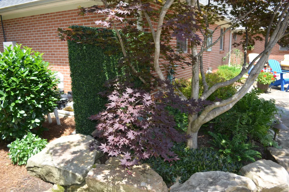 Knoxville West - Compact Backyard Pool by The Easy Gardener - Photo 4