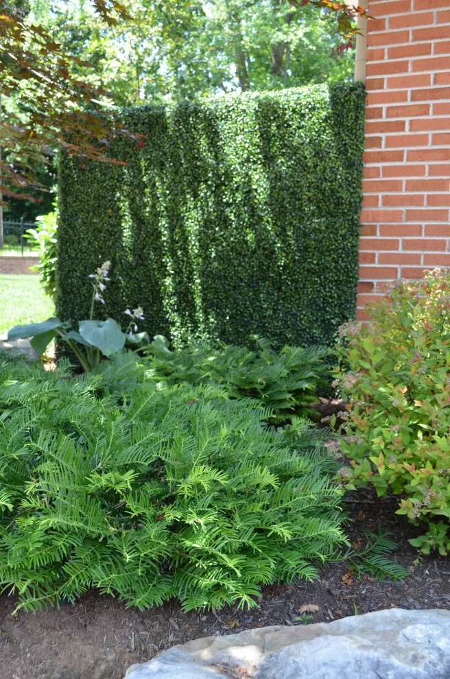 Knoxville West - Compact Backyard Pool by The Easy Gardener - Photo 8