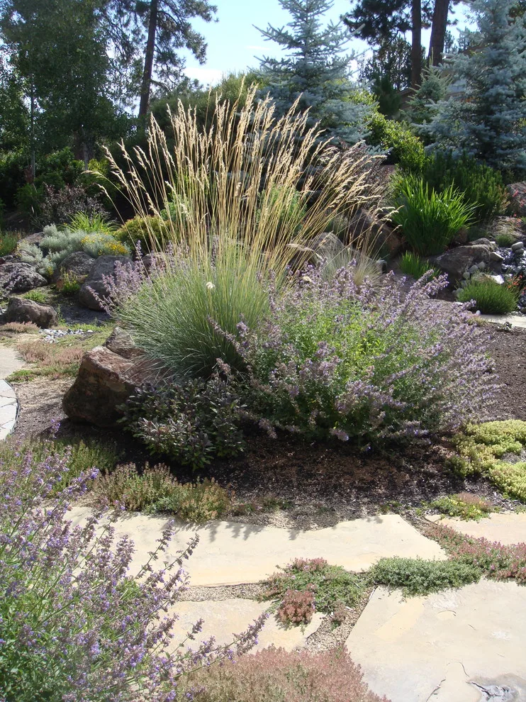 Western Side Garden by Heart Springs Landscape Design, LLC - Photo 5