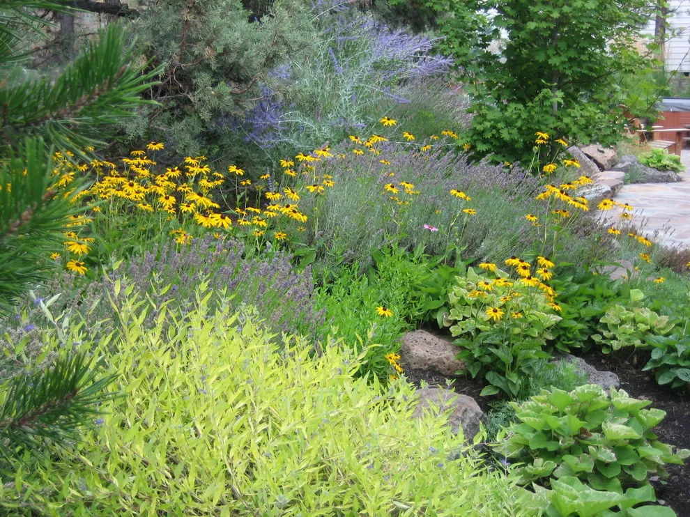 West Side Shift to Indigenous by Heart Springs Landscape Design, LLC - Photo 4