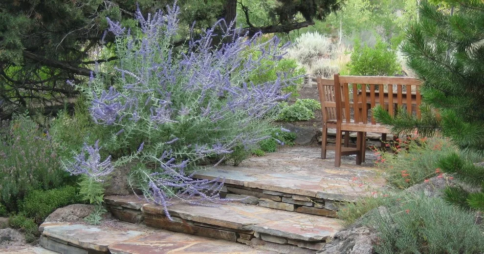 West Side Shift to Indigenous by Heart Springs Landscape Design, LLC - Photo 5