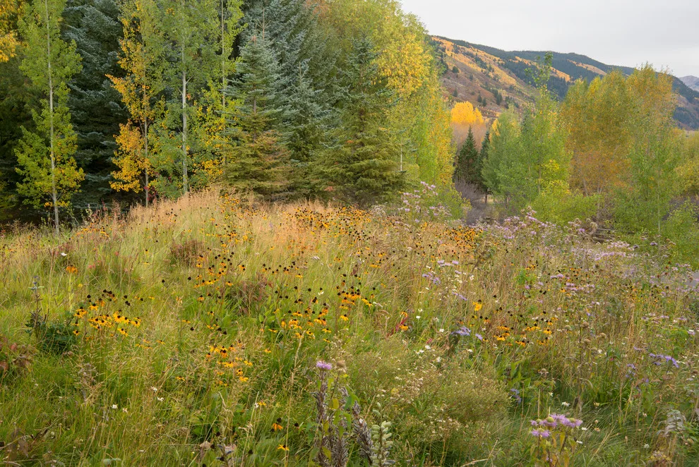 Willoughby Woods by Design Workshop, INC. - Photo 4