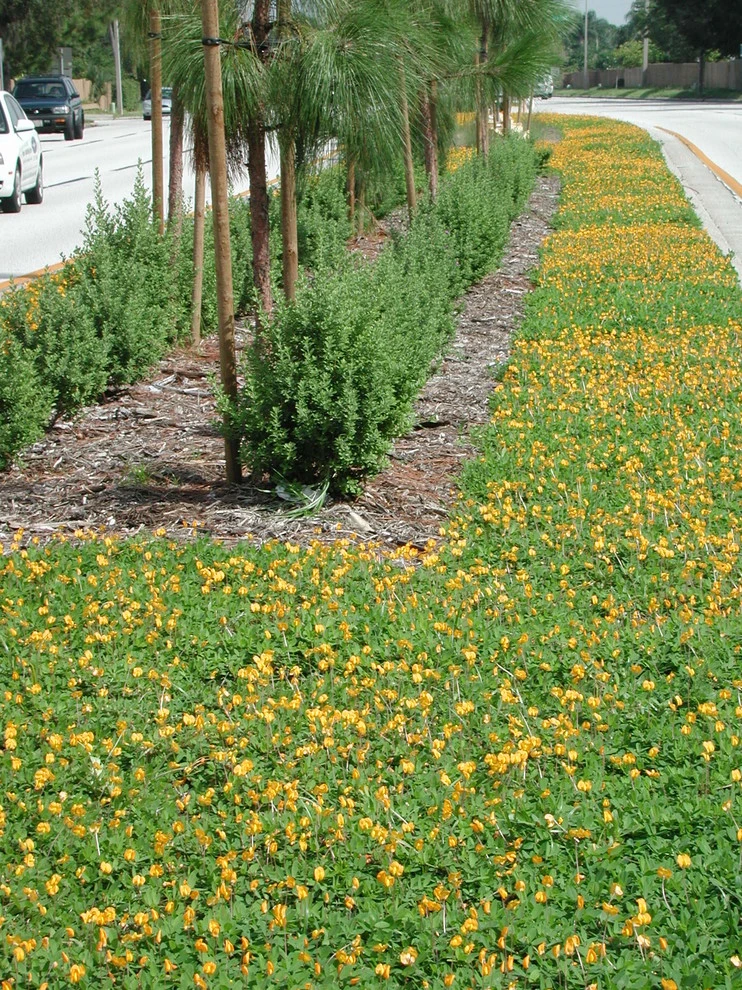 State Projects by LanVilla Outdoor - Photo 2