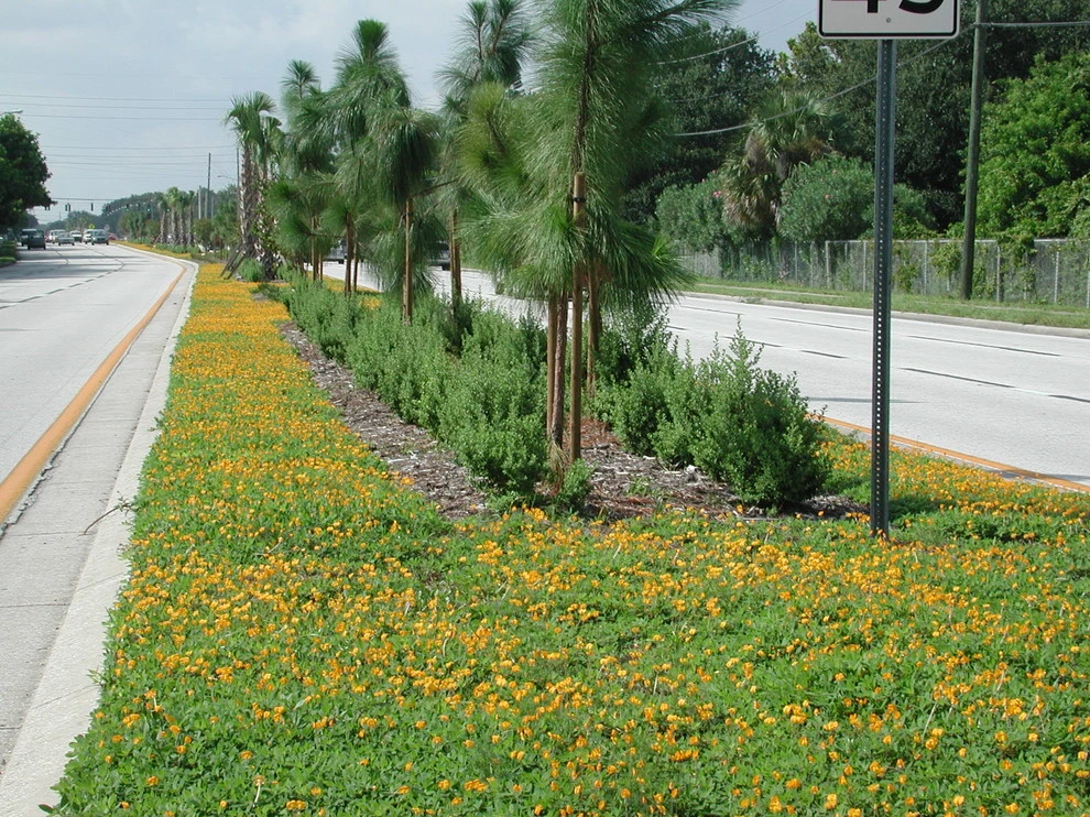 State Projects by LanVilla Outdoor - Photo 4