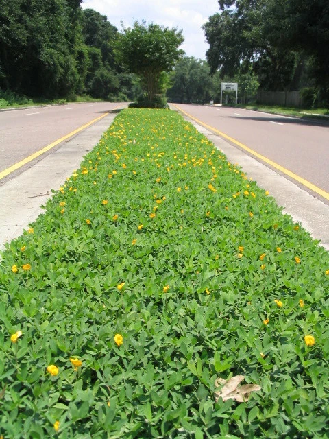 State Projects by LanVilla Outdoor - Photo 3