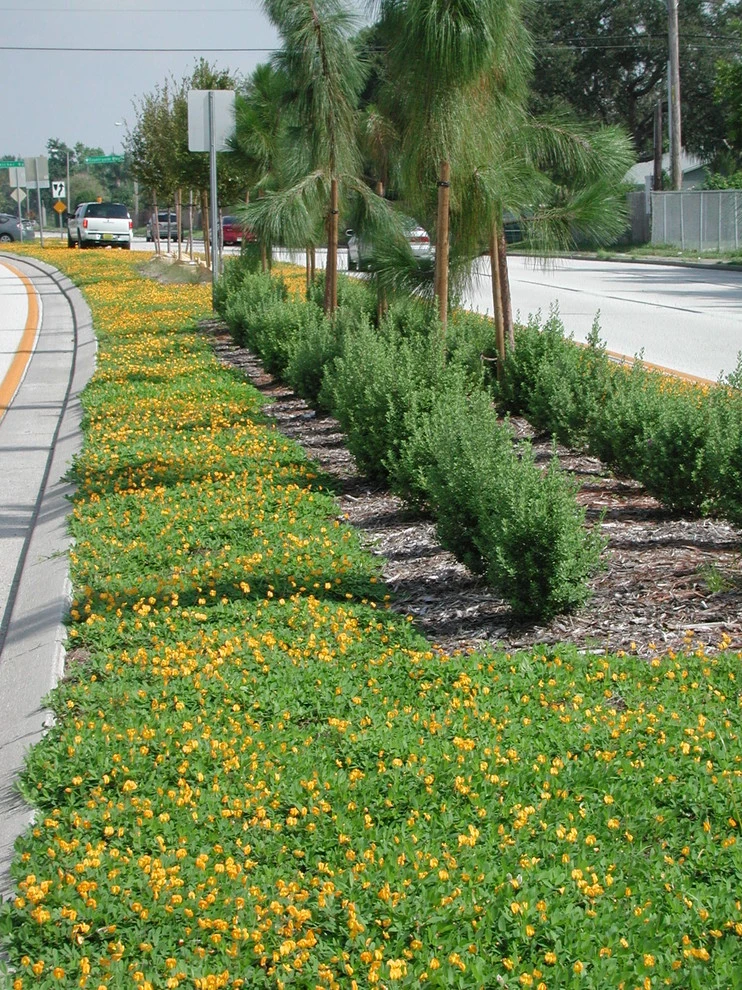 LanVilla Outdoor - Photo 3