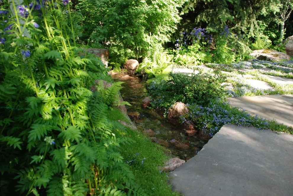 Forest Getaway by Escape Garden Design - Photo 4
