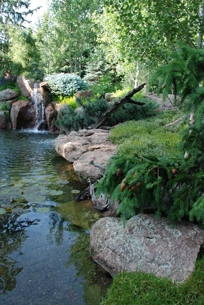 Forest Getaway by Escape Garden Design - Photo 6