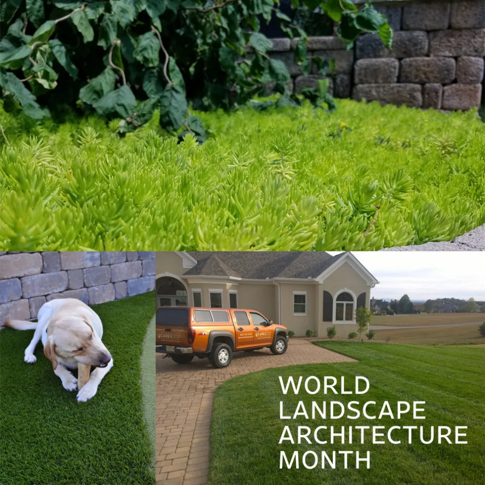 Global Landscape Architecture Month 2023 by Carex Design Group - Photo 8