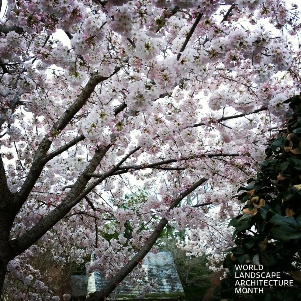Global Landscape Architecture Month 2024 by Carex Design Group - Photo 8
