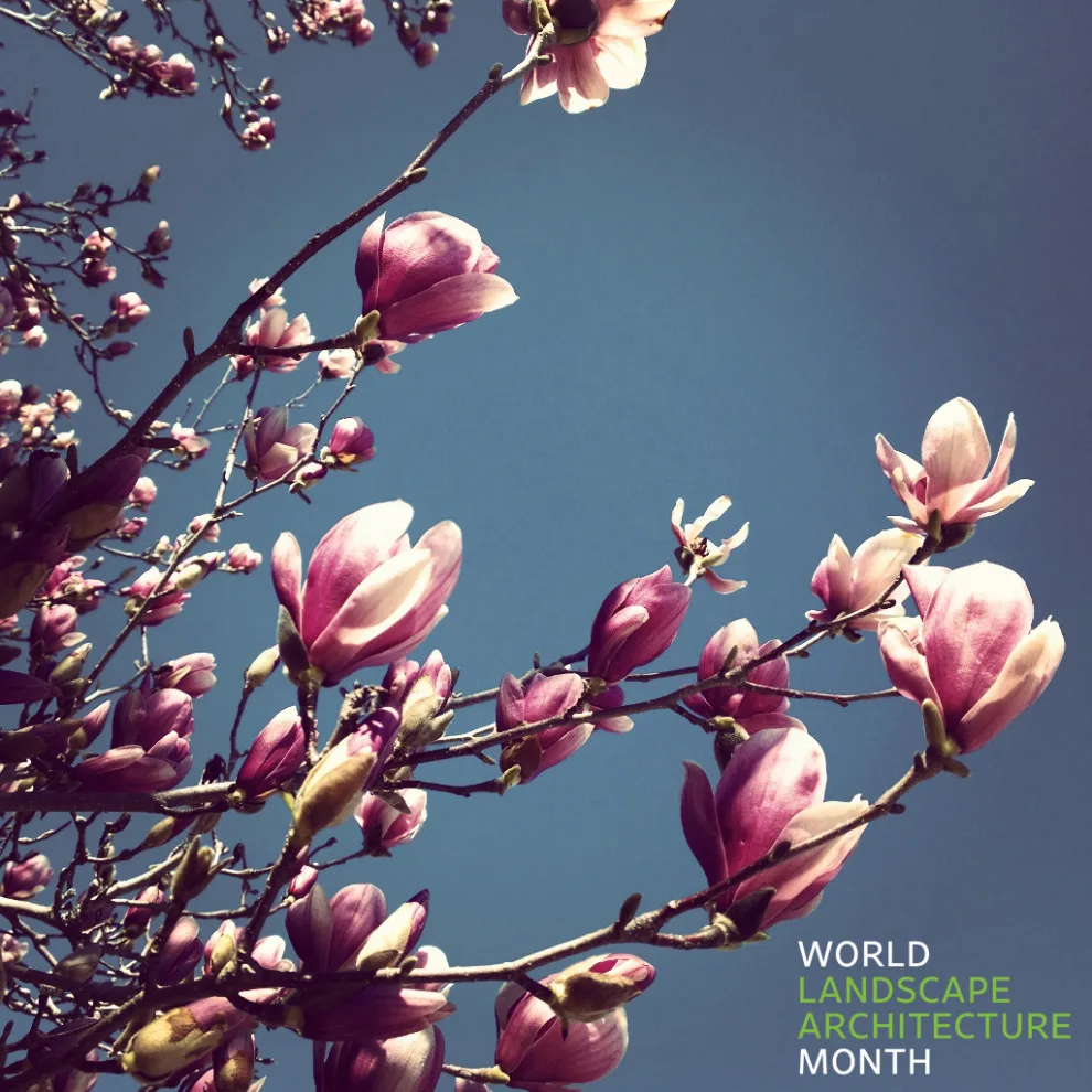 Global Landscape Architecture Month 2024 by Carex Design Group - Photo 4