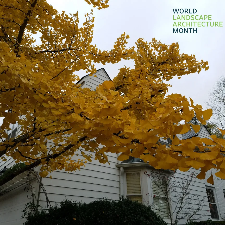 Global Landscape Architecture Month 2024 by Carex Design Group - Photo 9