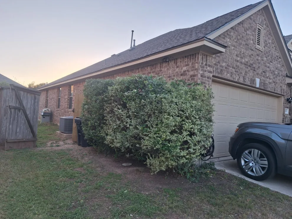 Revitalize Your Outdoor Areas by Miranda Lawn Services LLC - Photo 10