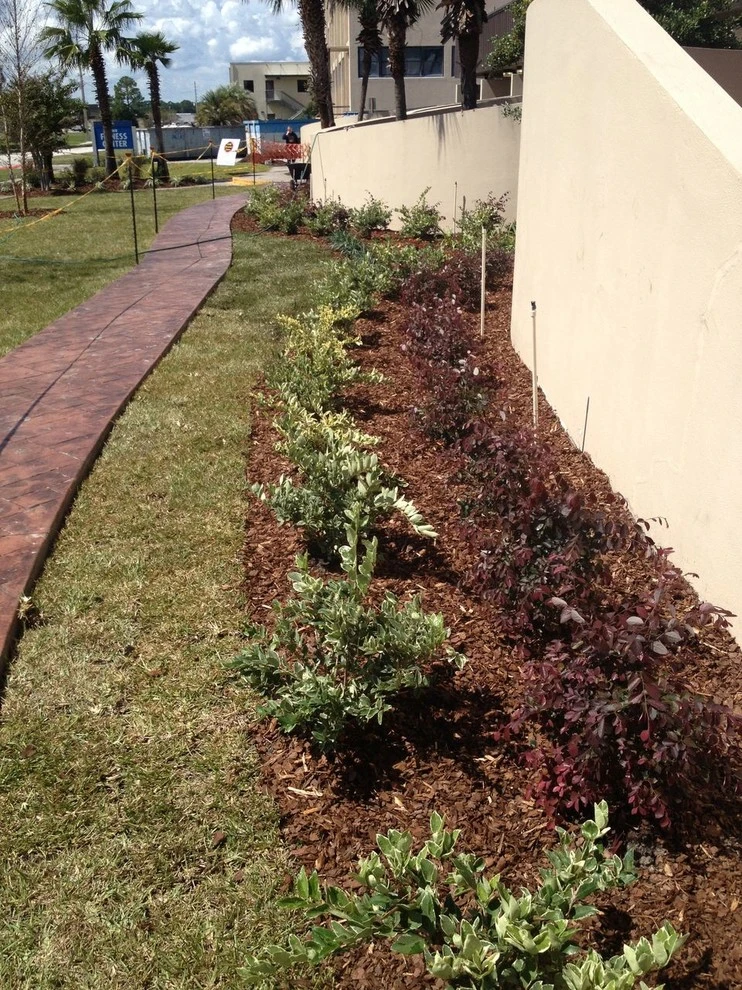 Gardening by LanVilla Outdoor - Photo 2