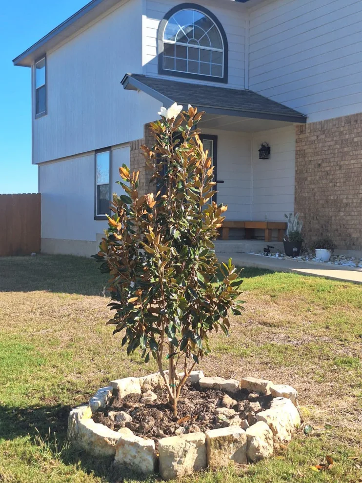 Revitalize Your Outdoor Areas by Miranda Lawn Services LLC - Photo 3
