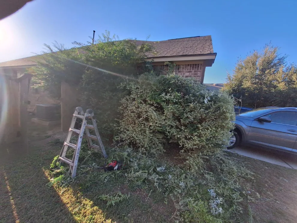 Revitalize Your Outdoor Areas by Miranda Lawn Services LLC - Photo 6