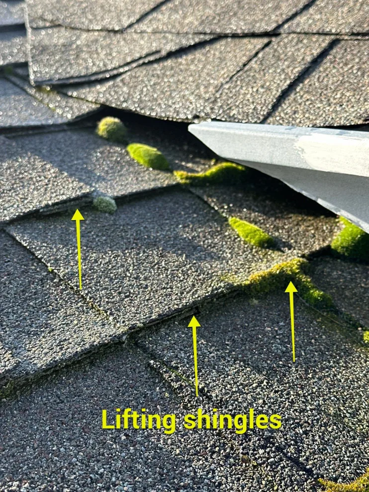 Arrowhead Street Project, Copperopolis, CA 95228 by Infinite Roofing Solutions - Photo 3