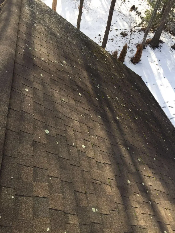 Ashland Roof Renovation by Loyalty Exterior Solutions - Photo 32