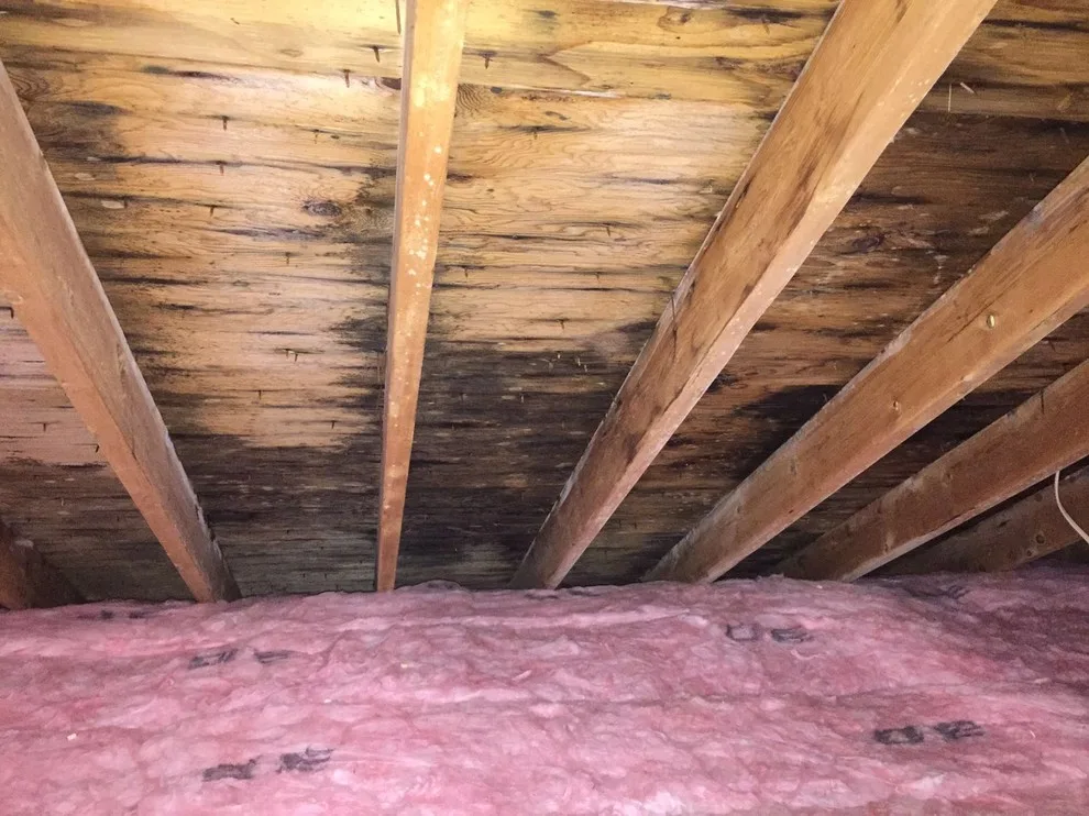 Ashland Roof Renovation by Loyalty Exterior Solutions - Photo 8