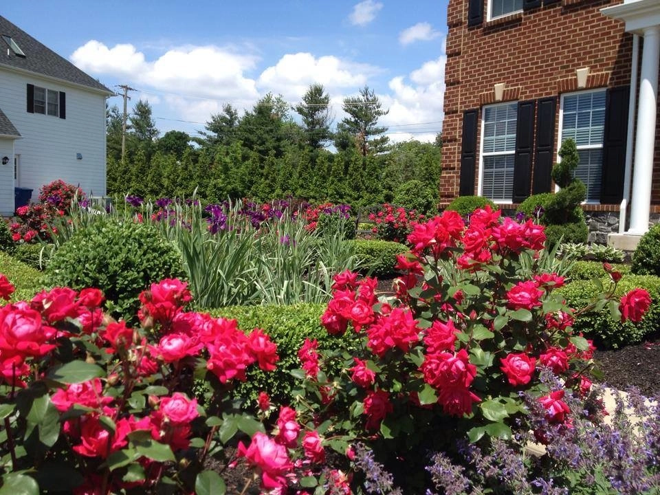 Chalfont Landscape by Christopher A. Zeek LandscapeDesign&Construction - Photo 3