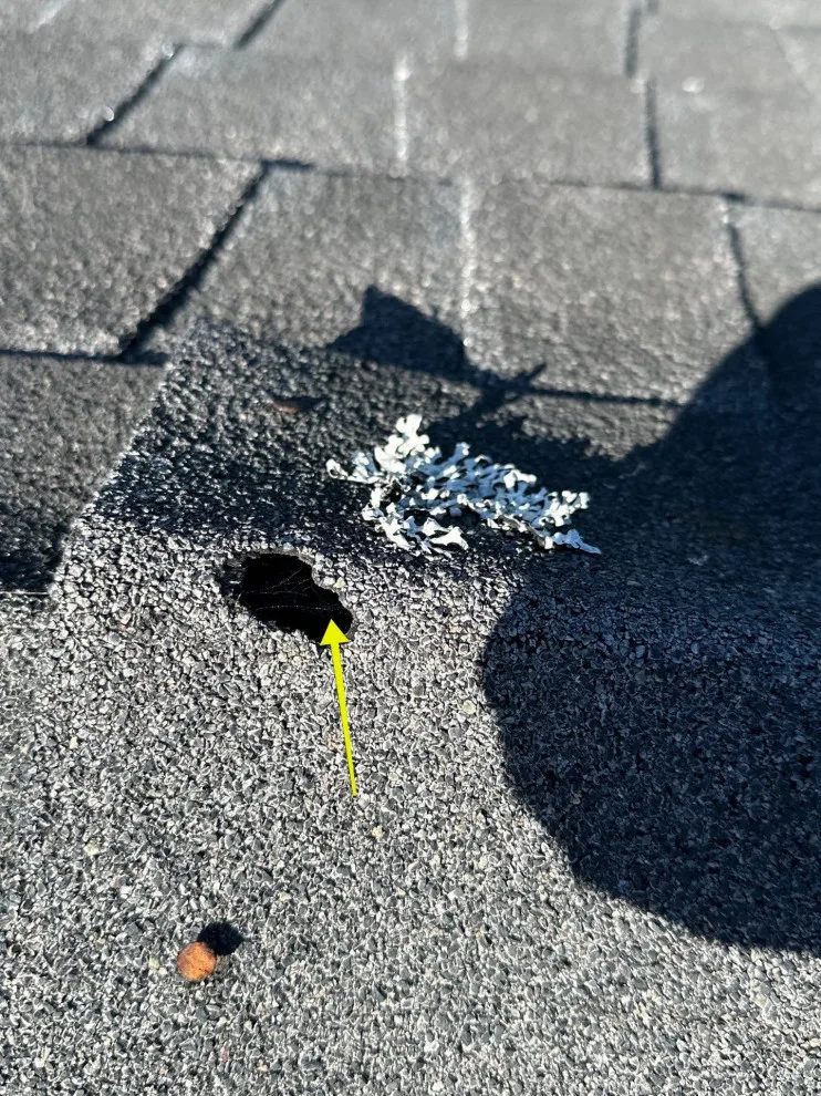 Del Monte Forest, California 93953 by Infinite Roofing Solutions - Photo 2
