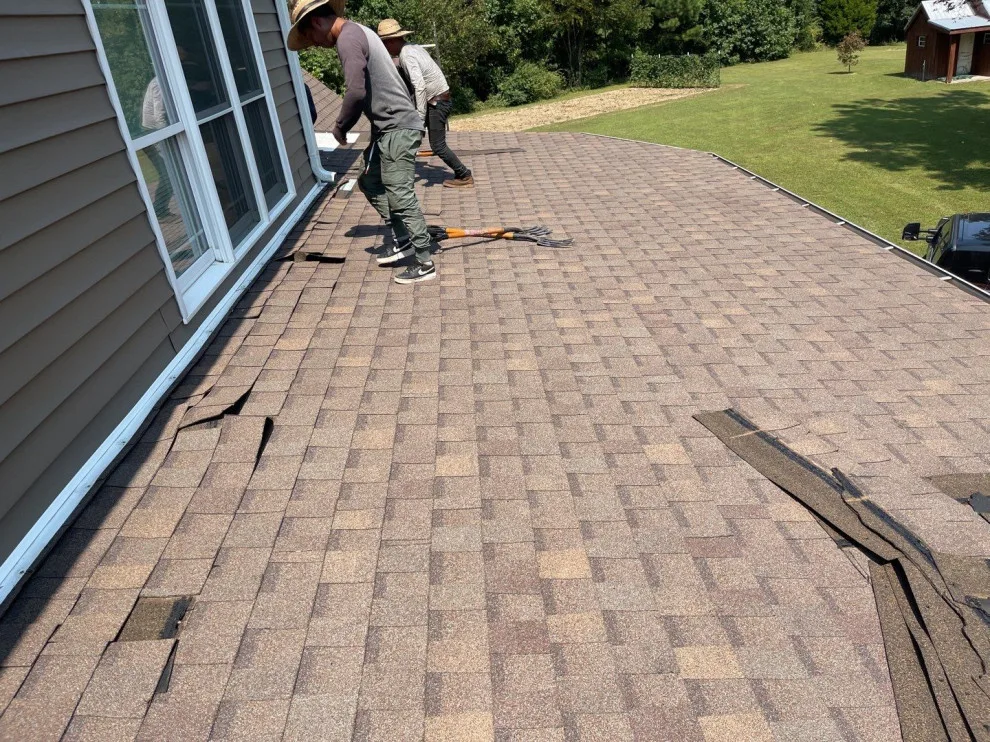 Roof MD - Photo 11