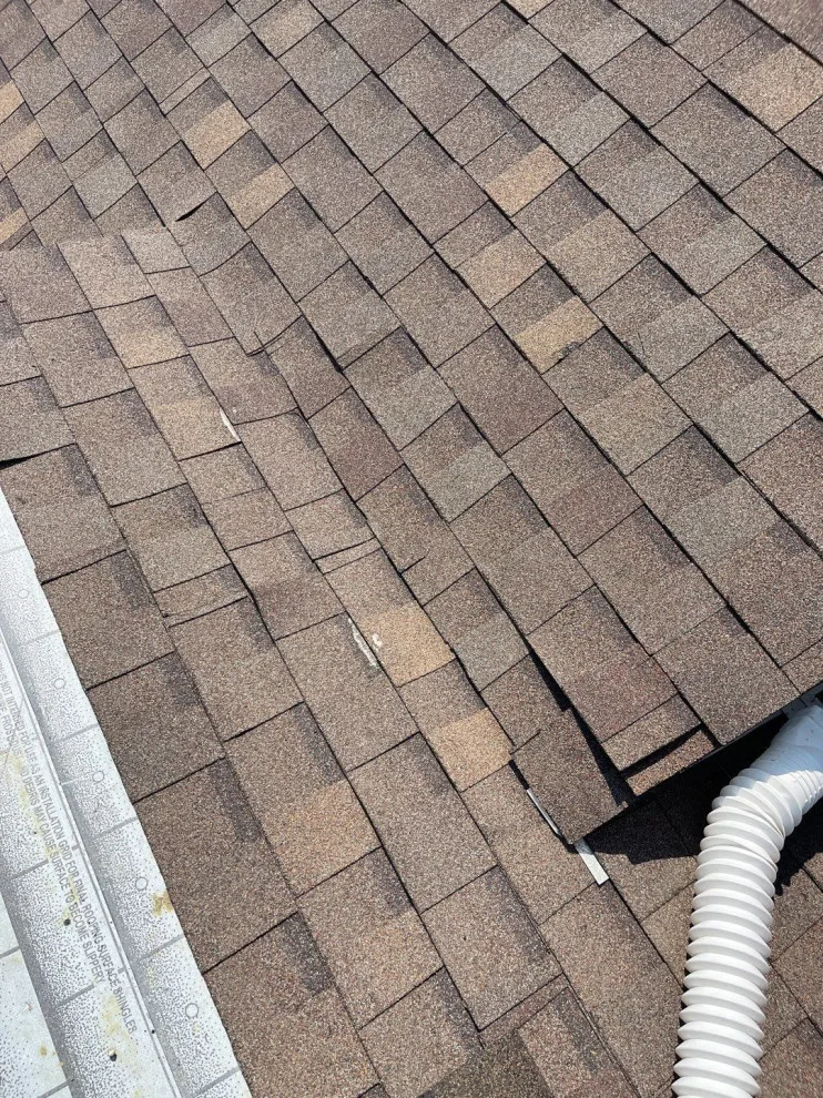 Roof MD - Photo 12