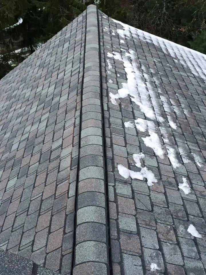 Wellesley Roof Renovation featuring Copper Details by Loyalty Exterior Solutions - Photo 2