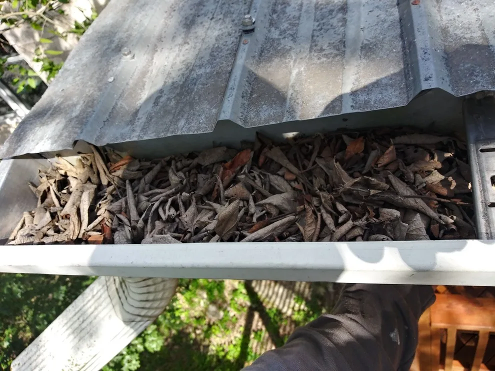 Austin, TX Gutter Cleaning Before and After by Gutter Tex - Photo 3