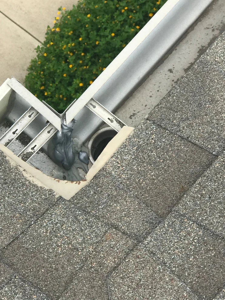 Austin, TX Gutter Cleaning Before and After by Gutter Tex - Photo 2