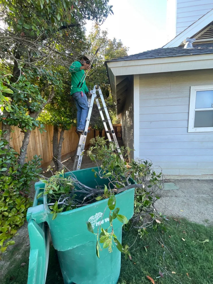 Hilltop Vista Drive • Coalinga, CA 93210 by Infinite Roofing Solutions - Photo 7