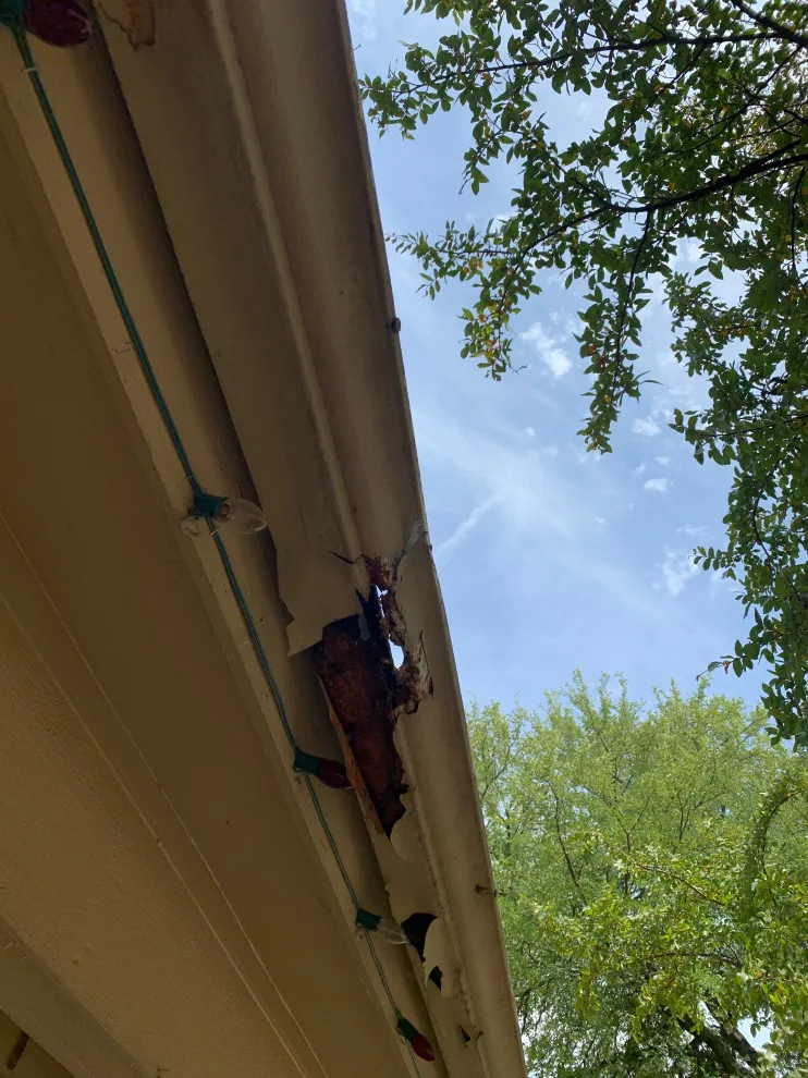 Sharp Seamless Gutter - Photo 14