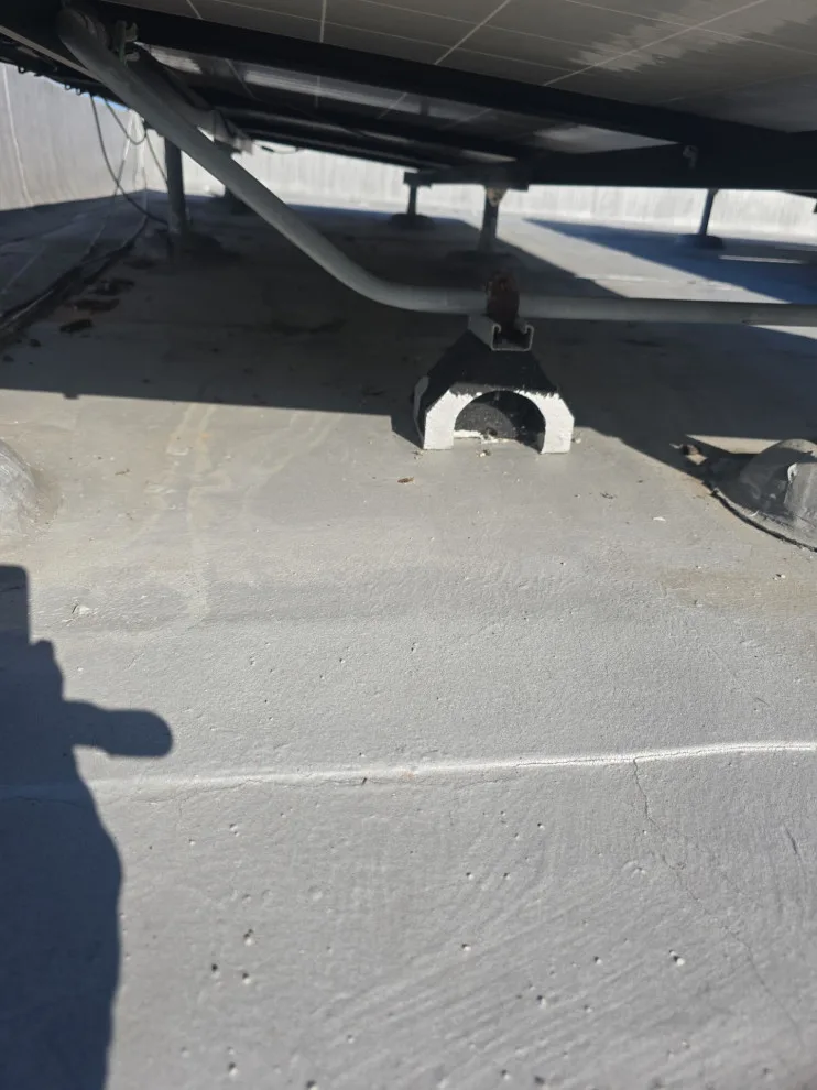 Jamestown Avenue, San Francisco, CA 94124 by Infinite Roofing Solutions - Photo 7