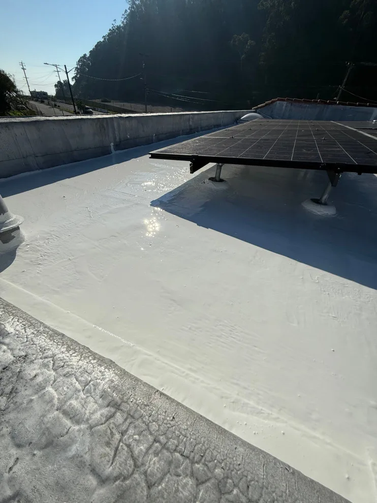 Jamestown Avenue, San Francisco, CA 94124 by Infinite Roofing Solutions - Photo 2